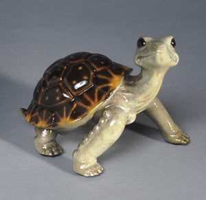 Original Multicolor Bronze Turtle Handcasted Limited Edition Statue Sculpture